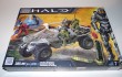 warthog