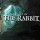the-night-of-the-rabbit-01