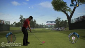 Tiger Woods PGA Tour 14
