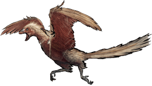 Das Aussehen eines Archaeopteryx.