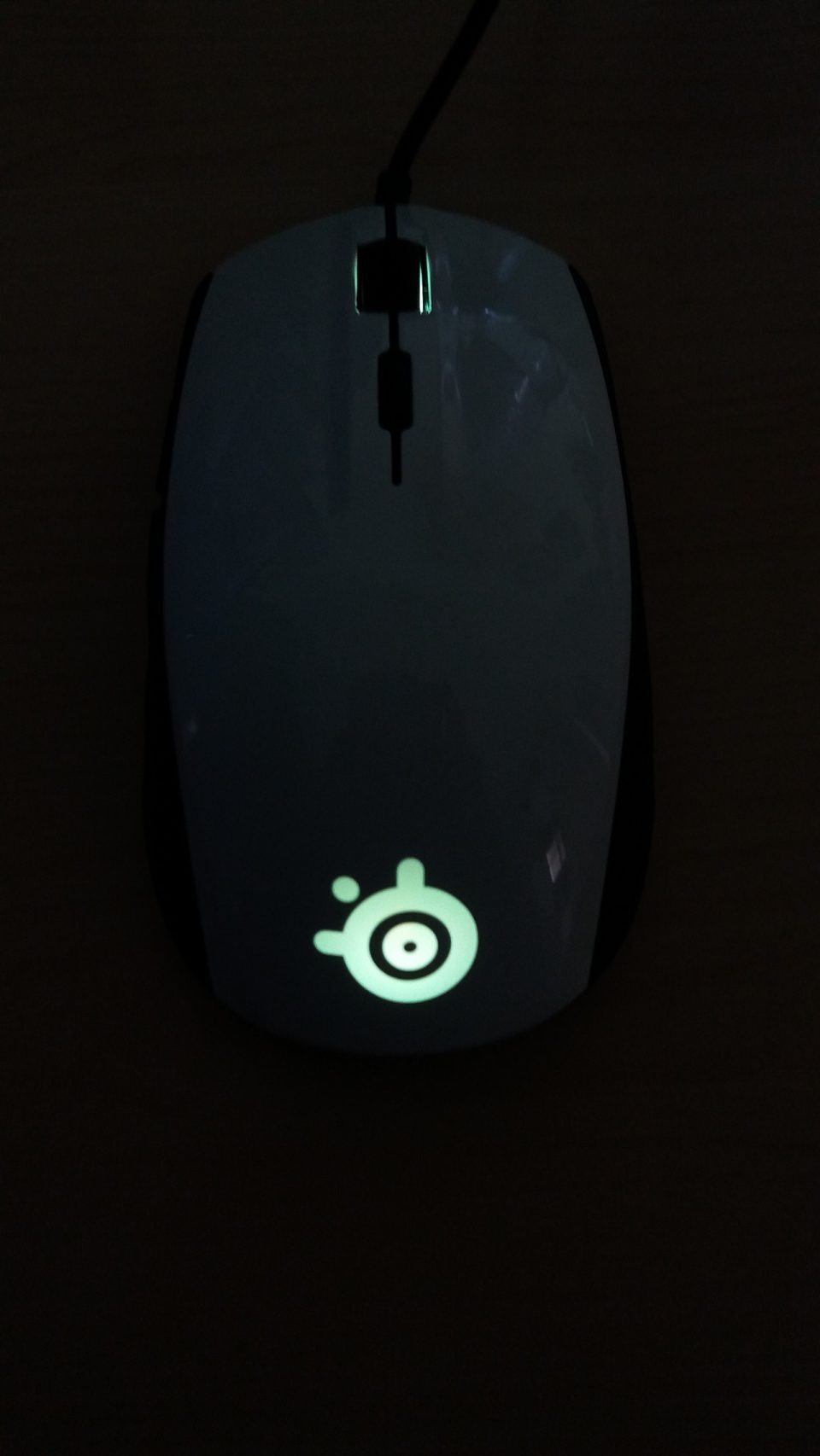 Steelseries R 100 SteelSeries Rival 100 – Test / Review - game2gether