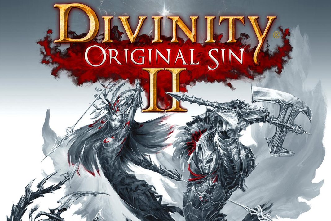 Divinity: Original Sin 2 Cover Art