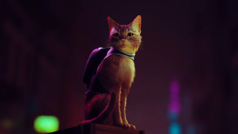 Gerücht: Stray schon ab Juli?