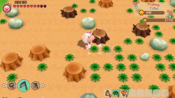 STORY OF SEASONS Friends of Mineral Town 3D-Cursor