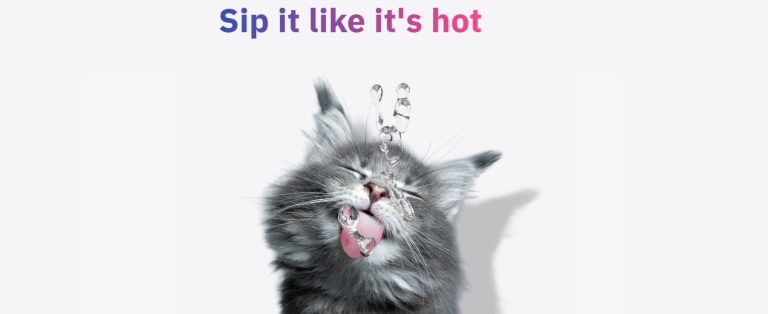 KLYQA Welly – Der intelligente Trinkbrunnen für Katzen und Hunde