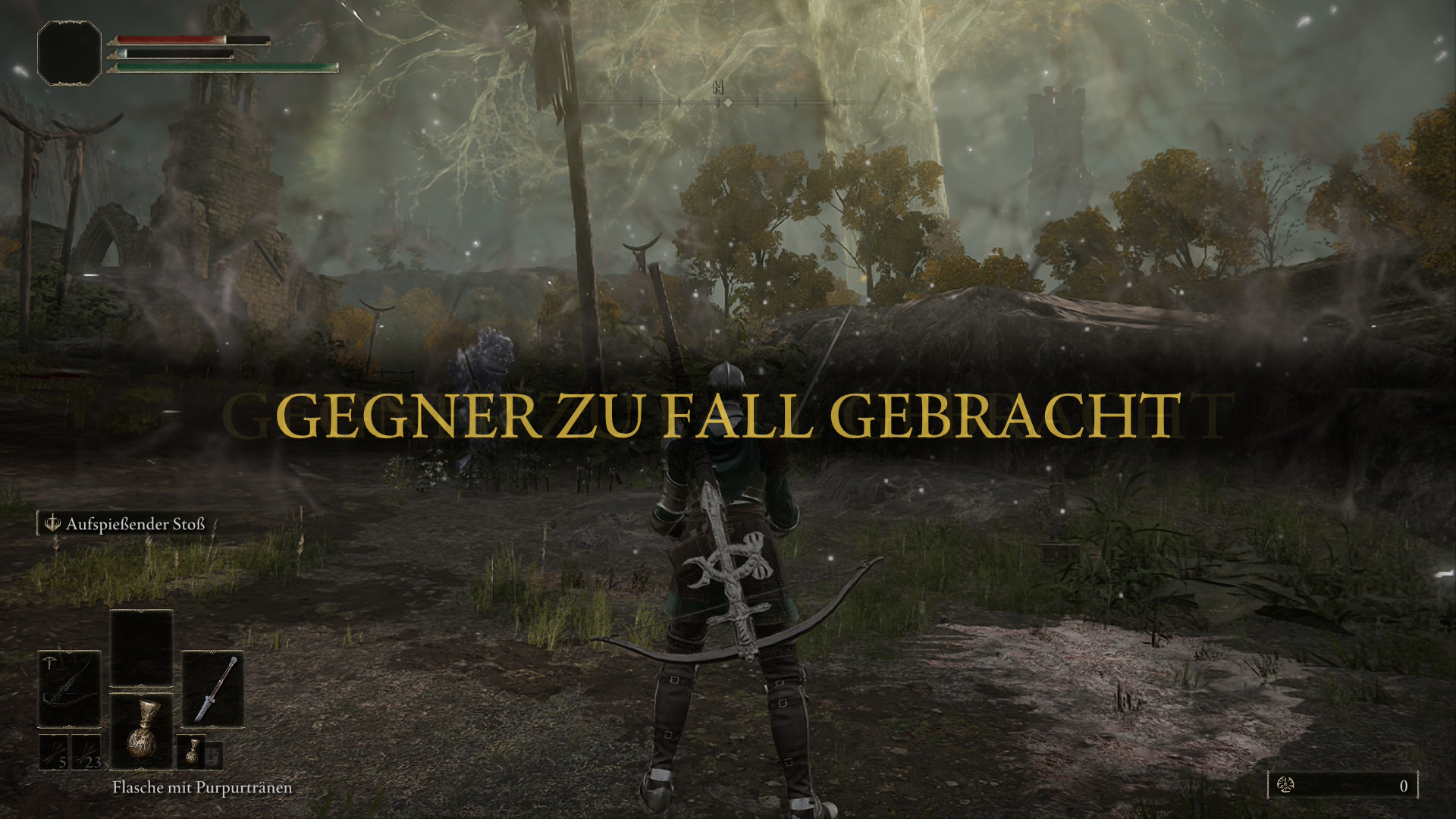 Successfull fight against an enemy in Elden Ring